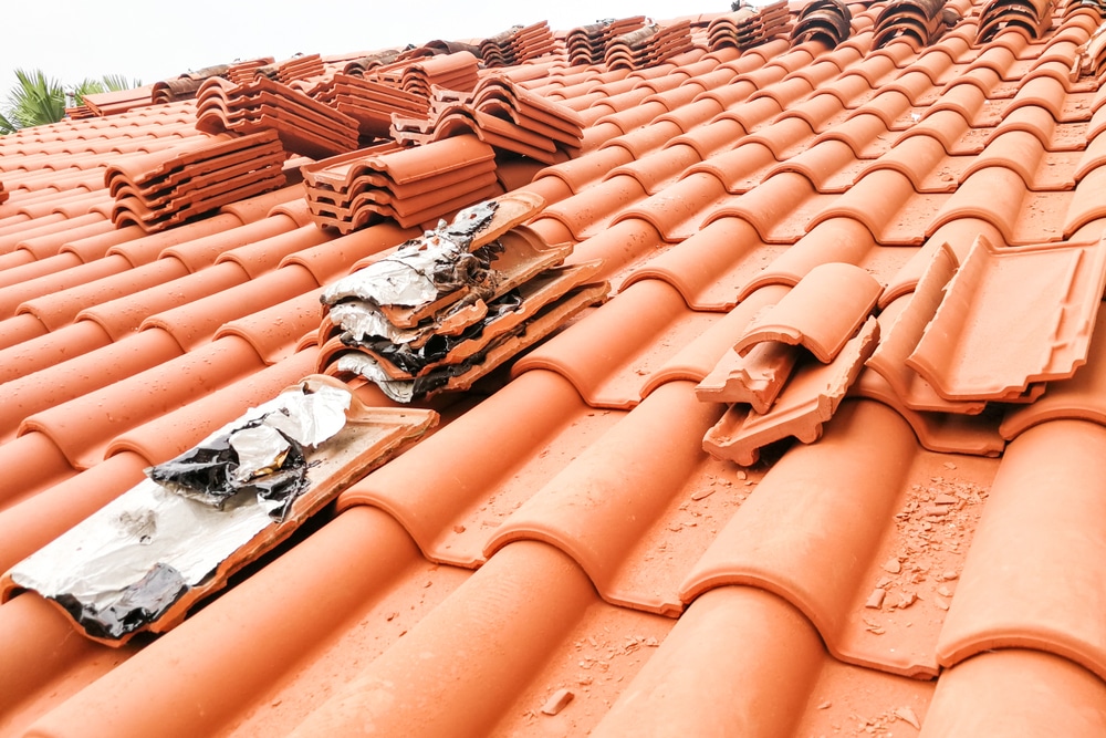 comprehensive roof restoration services
